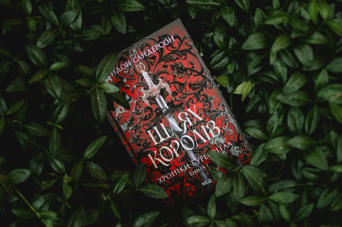 A fantasy novel with a sword design rests amidst dark leaves.
