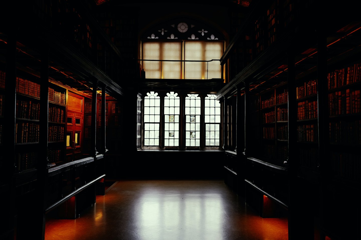 Tall wooden bookshelves line a grand library hallway with arched windows.