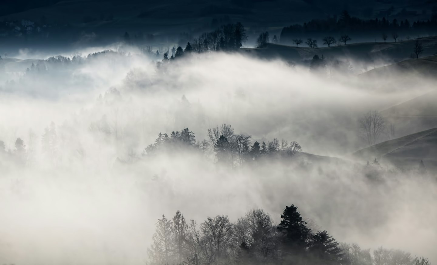 Misty hills with dark trees emerging from the fog.